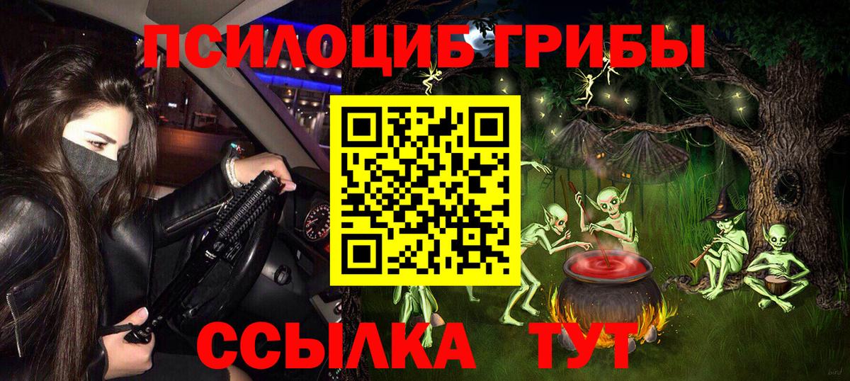 Королёв  Галлюциногенные грибы Psilocybine cubensis  Вход с VPN  Псилоцибиновые грибы Psilocybine cubensis 