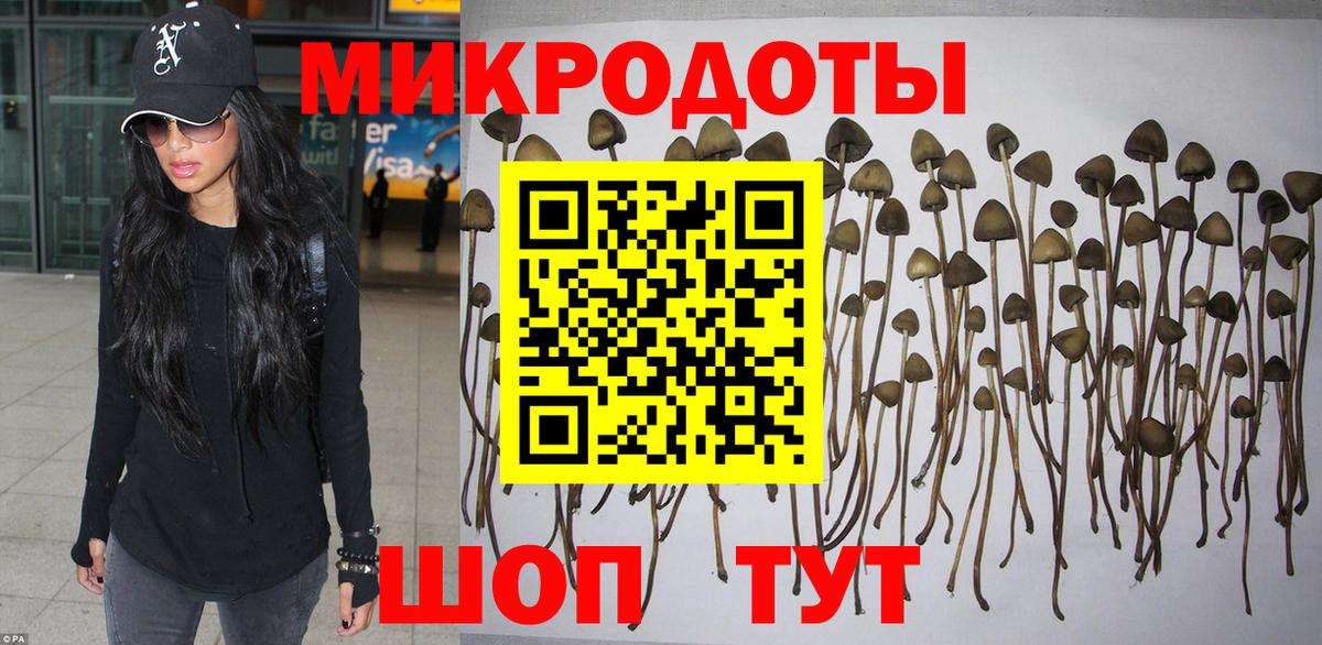 Псилоцибиновые грибы Psilocybine cubensis Королёв